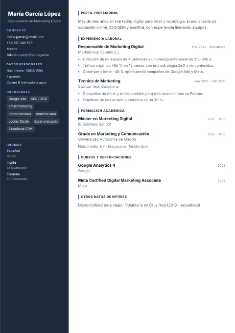 Plantilla Profesional